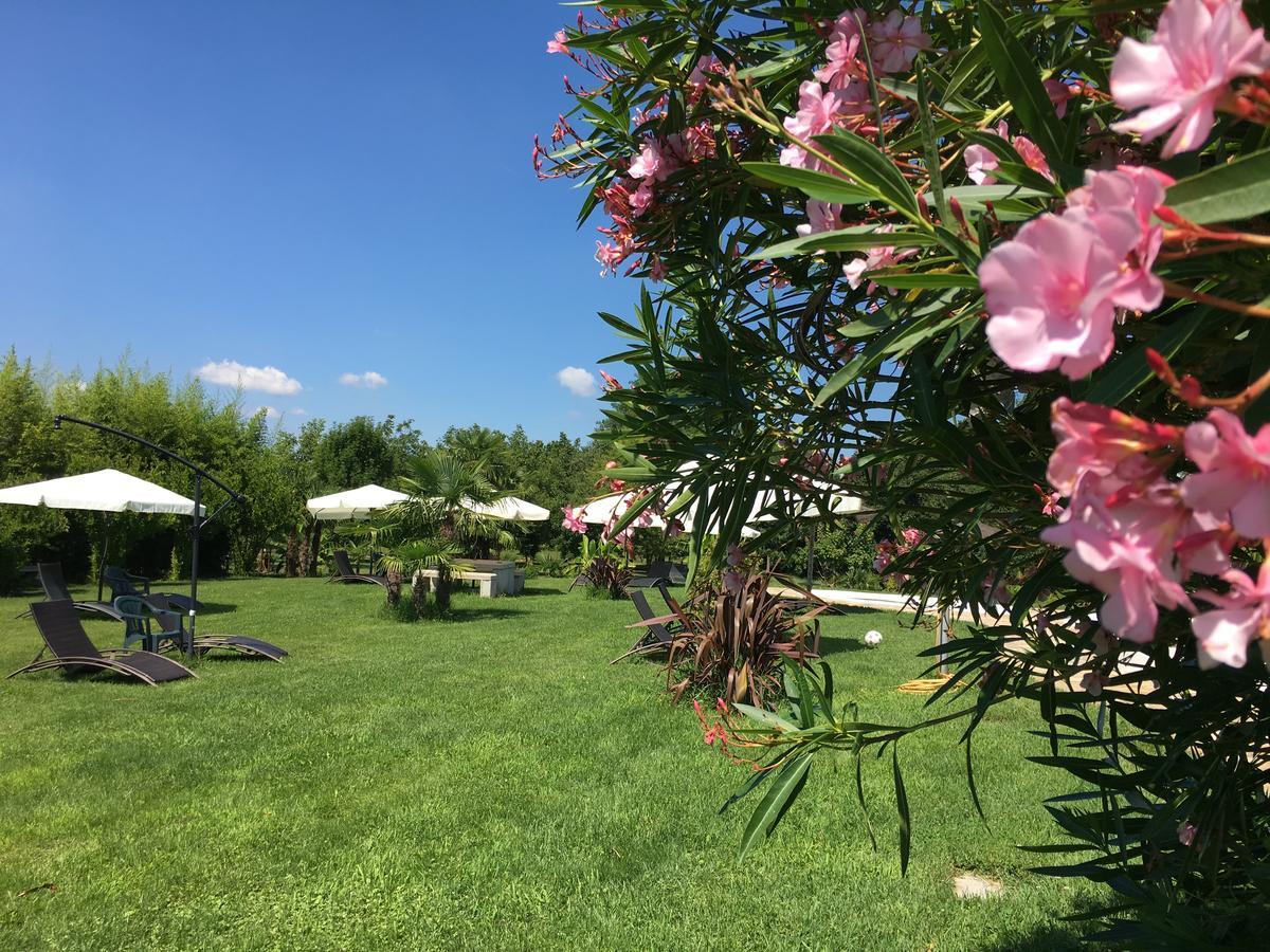 Agriturismob&B Loggia Degli Artisti Палаццоло-делло-Стелла Экстерьер фото